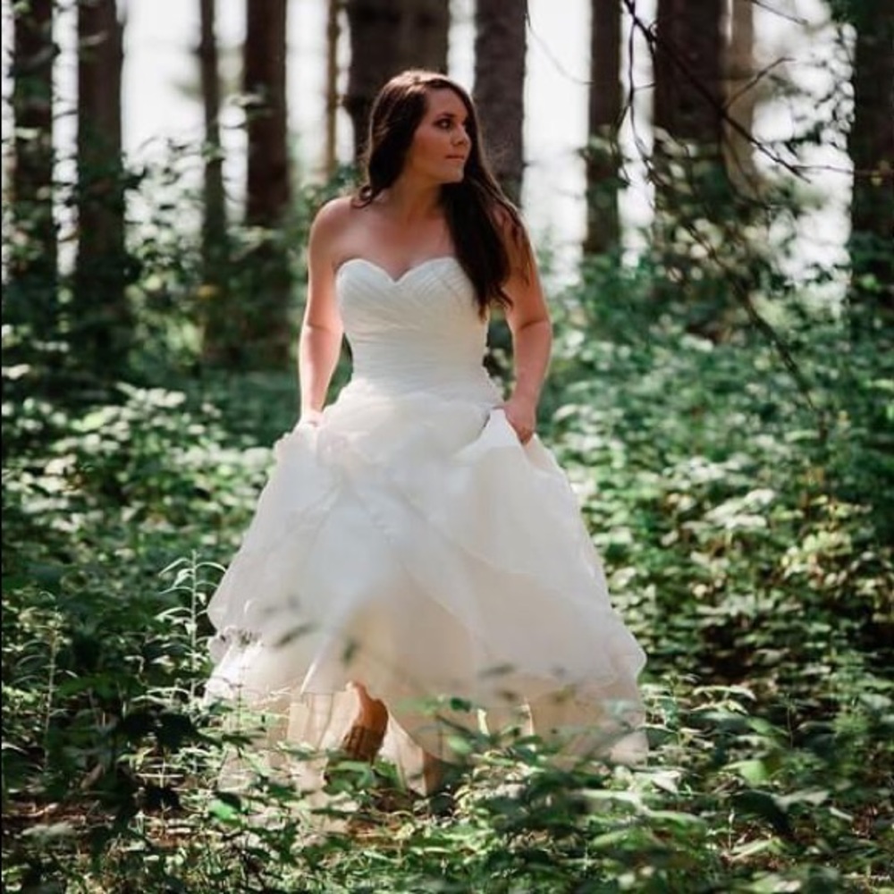 Demetrios Size 10 wedding dress - Picture 4 of 5